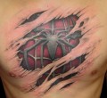 Animale - Tatuaj de Spiderman